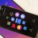 팜 (palm) 이미지