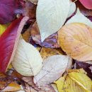 성내하니공원 이미지