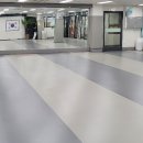 경희대 빅토리 태권도장 이미지