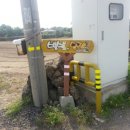 별별,당근이야기 이미지