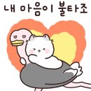 고양이묭실 이미지