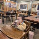 NR-43[호국로]-상-101 | 동두천휴양림에 코뻥하러 다녀온 비염가족