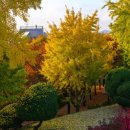 신암공원 이미지