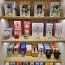 자라(ZARA) 키티 향수(썸머, 50주년 기념, 윈터) 구매 후기💞