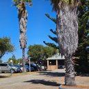 모텔퀸(MOTEL QUEEN) | 호주 퍼스 ㅣ Cervantes Pinnacles Motel 후기