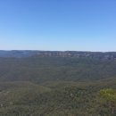 블루마운틴 이미지