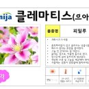 더 미성