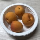 곰곰디자인미술학원
