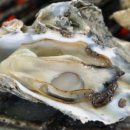 남포마을 이미지