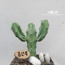 용신목장 이미지