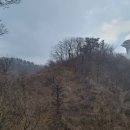 연일공원 이미지