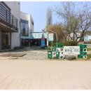 플라잉카우