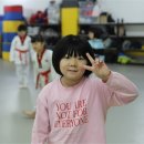 고려 미래 태권도장 이미지