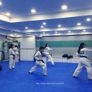 혁무태권클럽 이미지