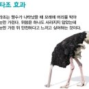 하나맨션APT경로당 | 202509