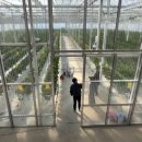 (주)비에스팜 이미지