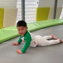 천전동 장난감은행 이미지