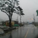 임회면 십일시장 이미지