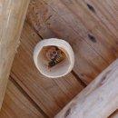 반석펜션 이미지