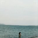 단단플란트치과의원 이미지