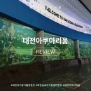 아쿠아리움 | [대전아기랑갈만한곳] 보문산 대전아쿠아리움 내돈내산 후기
