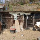 계룡로6길 이미지