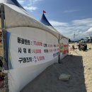 자작도하우스 | 고성 자작도 해수욕장 주차, 평상 대여, 해파리, 샤워장 꿀팁