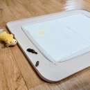 똥싼 강아지 | 강아지 배변훈련 방법 공유하고, 식분증 똥먹는이유 파악해 고친 진짜후기.