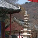풍천펜션민박
