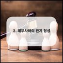 다올세무회계 - 수원시 권선구 금곡로102번길 30 | 다올세무회계