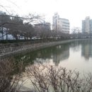 연화지쌈밥