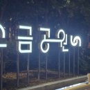 시민문화체육공원 산책로 | 가을비 내리는 부산 남구 소금공원 소금축제 현장｜용호동의 감성 가득한 바다축제 후기
