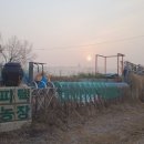 사목2리 이미지