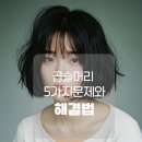 버스정류소_표선오일시장 | 사상구 곱슬머리고객들이가장 불편해하는 5가지 문제와 해결법