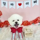 땡자네 묭실 이미지