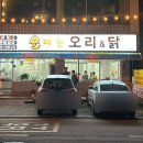 불타는 오리&닭 이미지