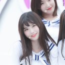 송하 이미지
