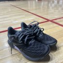 캐스캐이드 | 요넥스 신상 배드민턴화 추천 캐스케이드 드라이브 3 후기 사이즈 팁