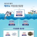 제주갈치고등어