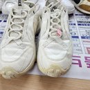 로얄손세탁 이미지