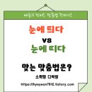 눈에띄다 이미지