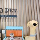 (주)펫그라운드 이미지