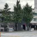 대방역 6번출구 횡단보도 이미지