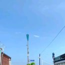 ARV KOREA 티스토리
