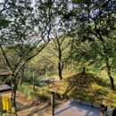 용인자연휴양림 이미지