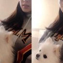 내원 이미지