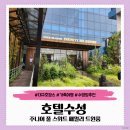 (주) 호텔수성사우나 | 대구 가족 호캉스 추천 호텔수성 주니어 풀 스위트 패밀리 트윈룸, 루프탑 인피니티 풀 후기