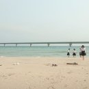 여정 네이버블로그