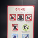 성진휘장 | 등가교환이다! 강철의 연금술사전 방문기