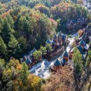 숲속의요정 이미지